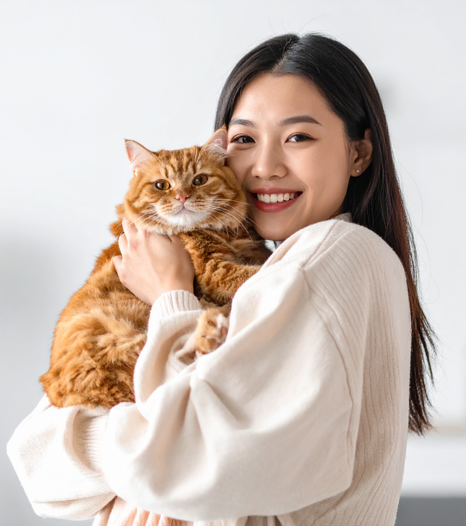 Pet Insurance